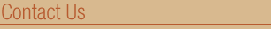 Contact Us
